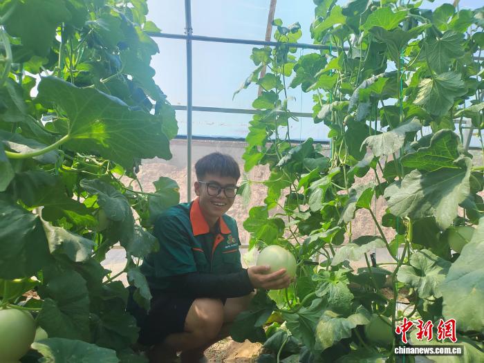 探索多样化