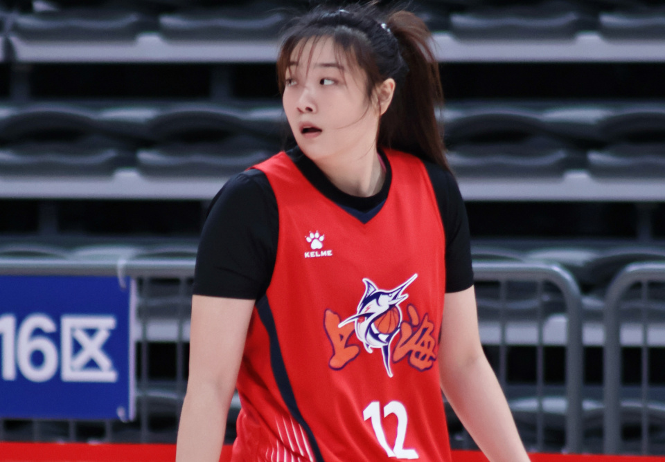 打球风格也
